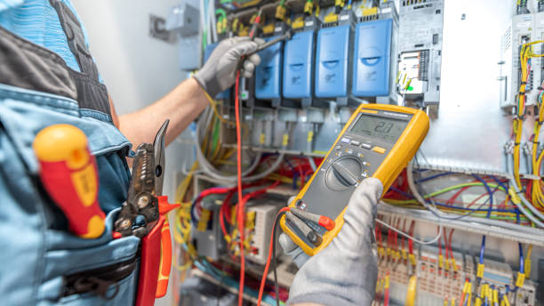 Best Electric Panel Repair  in Capron, IL